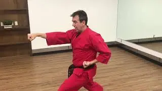 Shotokan Karate - Kihon Ippon #1 Jodan (Face Punch) tutorial by Paul Gale Network
