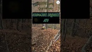Atv kosmajske drvosece