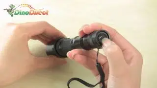 MXDL LED Flashlight ZD-5W - dinodirect