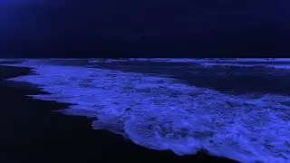 Ocean Waves for Deep Sleep - Ocean Healing Sound for Rejuvenation and Nighttime Emotional Calm
