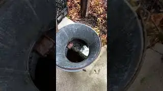 How Not To Store Your Generator