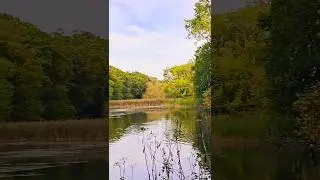Top Pool Coombe Abbey #Coventry #UK #coombeabbey #uk #england #eng