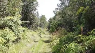 Homes for Sale - Road 13 Volcano HI 96771 - Reyn Shimooka