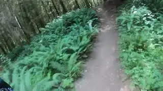 Jumping around 360 trails