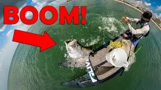 BIG FISH Crashed into my Board - Tarpon Fishing