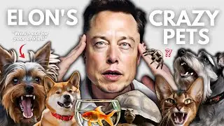 Meet the STRANGEST Animals ELON MUSK Calls Pets