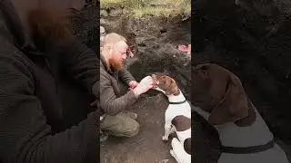 My Dog Tells Me Where The Deer Are - Clean / Cook #hunting #survival