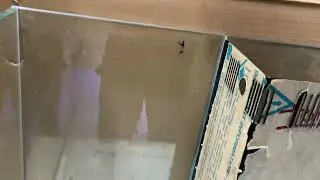 Nano marine tank available for sale with complete setup