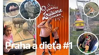 Kam v Prahe s deťmi 1 (ZOO, Popeyes, The Playground) #3675/2025 | DENNÉ VLOGY