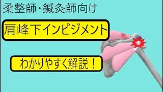 【柔整・鍼灸　新人セラピスト】　肩峰下インピジメント　メカニズム解説
