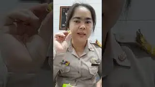 งานประดิษฐ์จากต้นไม้