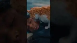 The Cat Who Protected a Homeless Boy When No One Else Would 💔&rdquo;❄️🐱&rdquo; #emotionalstory#shortvideo