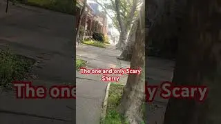 Scary Sherry Sighting In Allentown PA. #scarysherrysighting #allentown #pennsylvania #boss