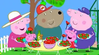 Cultivando Tomates! 🍅 Peppa Aprende sobre Estufas | 2 horas | Peppa Pig em Português Brasil