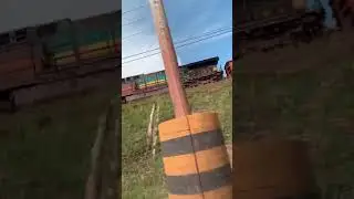 Trem da vale, Estrada de Ferro Caraj&aacute;s 2020
