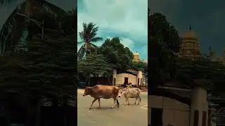 Jafna