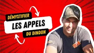 Démystifier les appels du dindon sauvage avec Nicolas Baillargeon