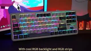 AULA F87 Tri-Mode Wireless RGB Mechanical Keyboard 🔥 TKL Gaming Beast!