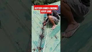 Common problem on metal roof causing water leak #shorts #metalroofing