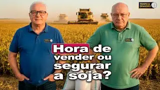 Vender a soja agora ou sentar e esperar? Produtor enfrenta decisão-chave no mercado