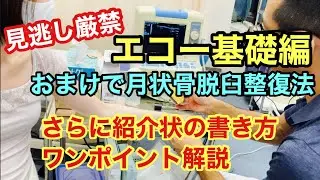 エコー基礎編