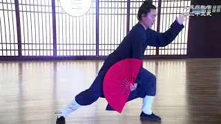 Taijishan form 23 24