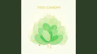 Tree Canopy