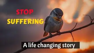 The Bird That Taught Me How to Stop Suffering | Must-Watch Motivational Story