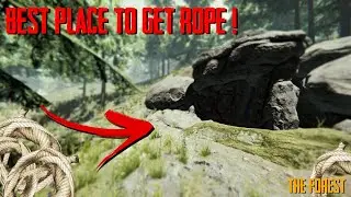 Best Place To Get Cloth and Rope In The Forest! #shorts