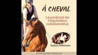 27. Muscler son cheval pour gagner en confiance