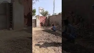 #donkey video #foryou #animals #1kfollower #funny #animals
