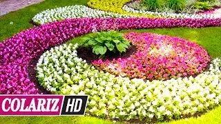 MUST WATCH! 55+ Gorgeous Circular Garden to Inspire You