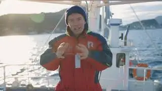 EQ Pure Arctic Oil Alesund