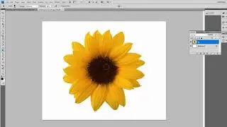 Computer Class 8 Chapter 3 (Dodge and Burn Tool)