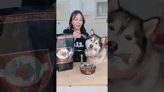 🌟 Bonnihill Frozen Food: The Perfect Addition to Your Dog's Bowl! 🐾