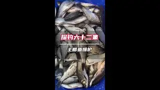 阳康以后，钓点土鲫鱼补补！#钓鱼  #鲫鱼#土鲫鱼#传统钓