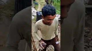 daru nahin hai dawai #youtubeshorts #nature #youtubeblogger23 #minivlog #ytshorts #funny