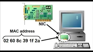 What is MAC Address? full Explanation | Network king 
