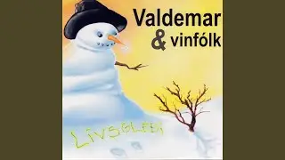 Hygg kavin er komin