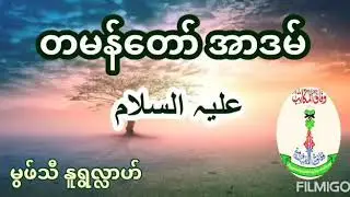 “တမန်တော် အာဒမ် علیہ السلام အကြောင်း”မွဖ်သီ နူရွလ္လာဟ်