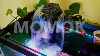 Sumbat Japmat Mushroom Aquarium Ikan Mas Koki Sering Keluar Terpental Sendiri? Coba Cara Ini!