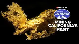 Very rare crystallized gold nugget weighs 13.8 pounds | Bartell's Backroads