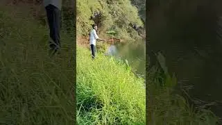 Snakehead fishing Kerala