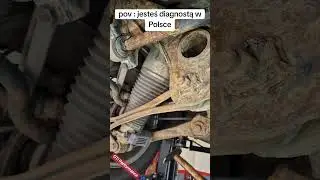 diagności w PL