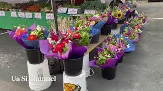 BLOOMINGTON FARMER'S MARKET DAY!