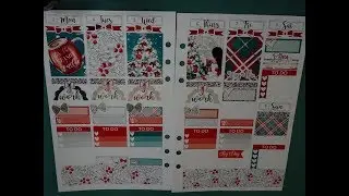 A5 Ringbound Plan with me, Ft. Rak Paper Stickers