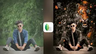 Snapseed tiger photo editing | Snapseed background change photo editing | WR EDITOR
