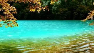 Blue Water Forest | Relaxing Nature Sounds for Sleep | Relaxing River Sounds Peaceful Forest River