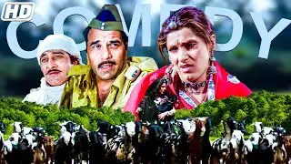 बकरी चराने वाली.. पुलिस को मारी ढेला | धर्मेन्द्र - Batwara Movie Best Scene | Dharmendra, Dimple
