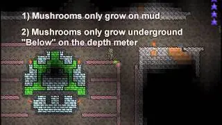 Terraria Farm - Glow Mushrooms with style (pixel art)